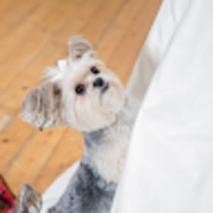 Meet your Posher, Alden